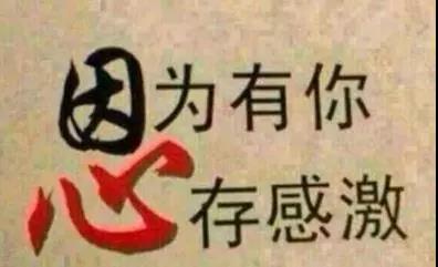 感激之词,热情洋溢,简短