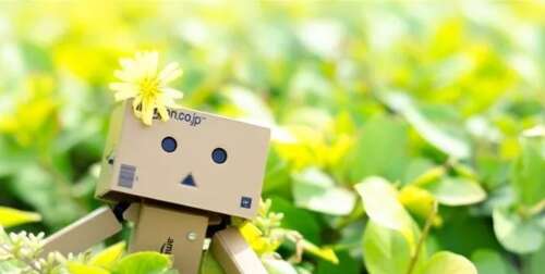 美丽的句子描述下雨的秋天