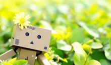 描写秋雨绵绵的唯美句子