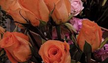 抖音上很火的个性签名 俏皮幽默