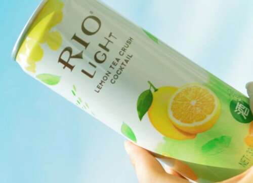 每日撰稿《朋友时刻》 1