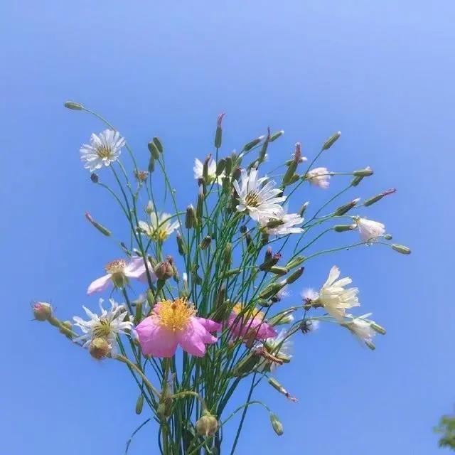 未来的正能量句子