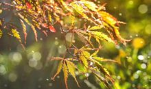 写给自己加油鼓励的句子