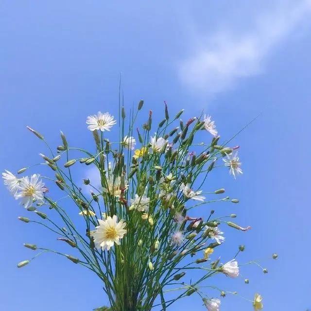 未来的正能量语句，2