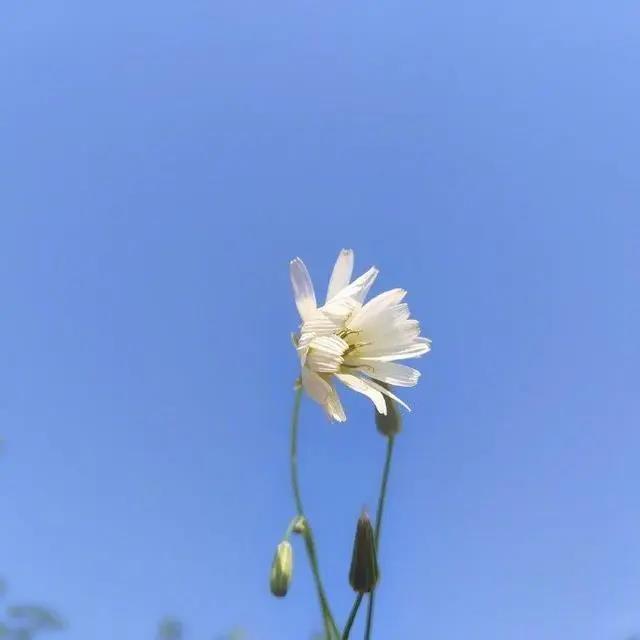 最新青年励志名言