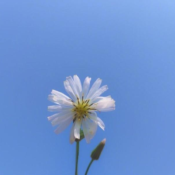 最新青年励志名言1