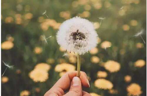 谢谢你美丽相遇的一句话