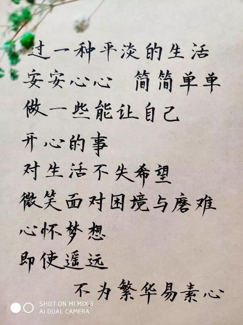 诗歌隐喻生活的困境