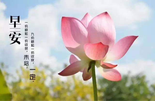 在朋友圈中谈论星期一的早上好