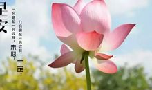 朋友圈周一的早安说说 星期一优美早安心语