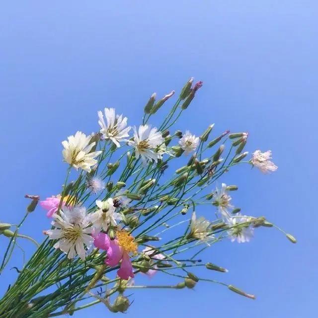 微信瞬间快乐句子谈心情1