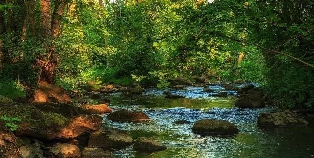 演员悲伤的句子1