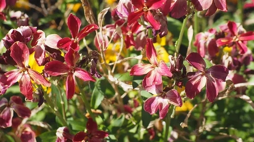 成为一名教练的可悲的一句话