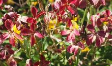 做教练心酸的句子