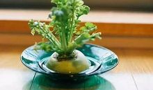 简短文艺小清新短句说说