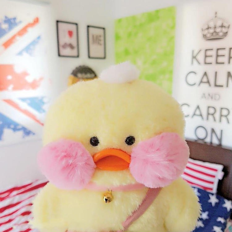 坚持就是胜利，相信自己1