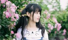 情话套路撩女生的句子