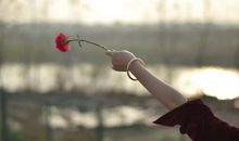 最佳表白情话大全简短撩人