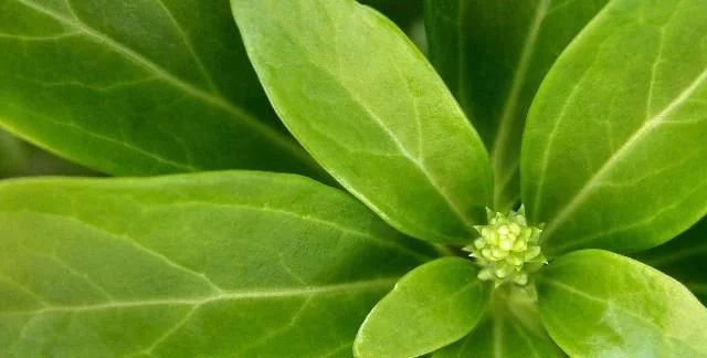 幸福的句子想着你，我的幸福想着你2