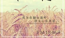 第一次给女朋友过生日的祝福语