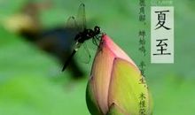 夏至日发的朋友圈的句子