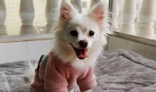 六一儿童节开心的句子