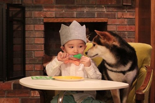 怀孕到分娩的句子