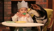 怀孕到坐月子带娃心酸的句子