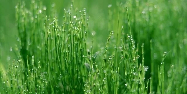 短信问候女孩生病1