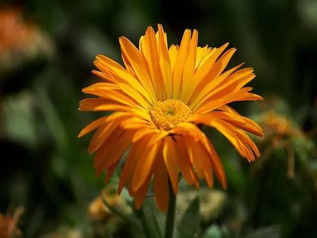 鼓励自己变强的句子1