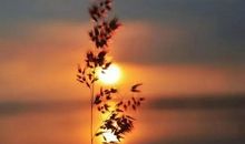 冬季里 邀您共赏清新的句子