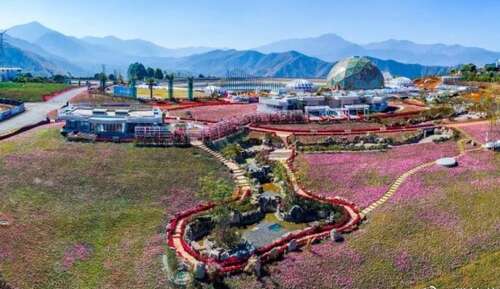 每天快乐的句子2