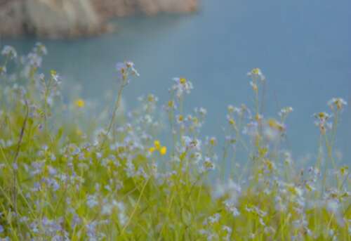 勤奋的句子正能量