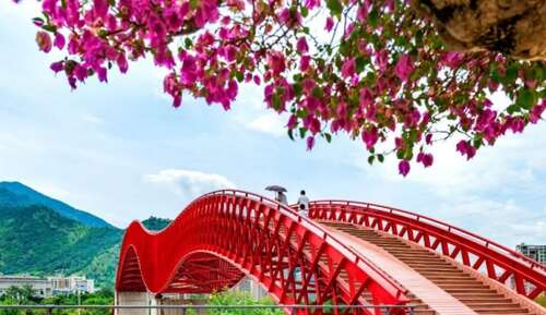 每天快乐的句子1