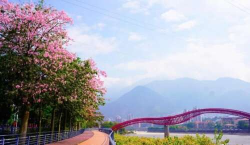 每天都有正面和快乐的句子