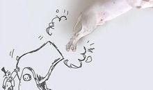 逗人开心的短语句子