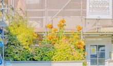 人活着开心最重要的句子