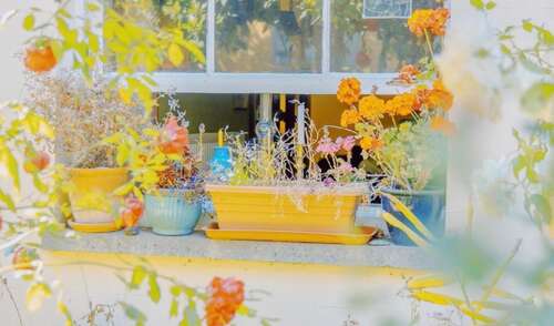 快乐又有趣的句子笑话1