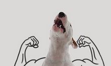 逗朋友开心的幽默句子