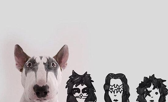 幽默的句子，让朋友开心1