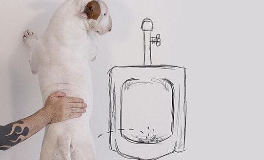 幽默的句子让朋友开心2