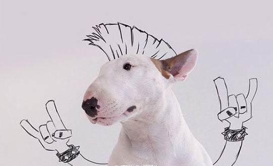 可爱的句子快乐的句子2