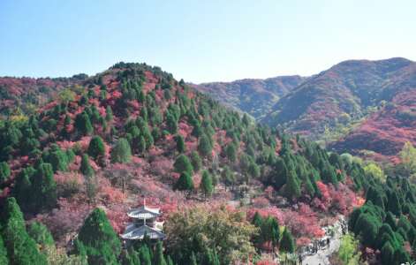 快乐的日常句子2