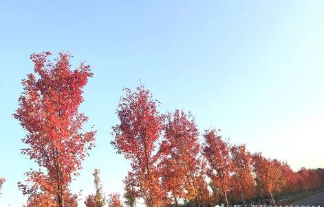 快乐的日常句子1