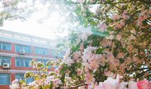 祝每天开心的句子