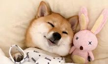 逗女孩子开心的搞笑句子