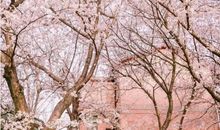 开心就好的唯美句子