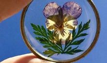 开心面对生活的句子