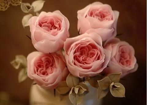 简单快乐的心态句子短2