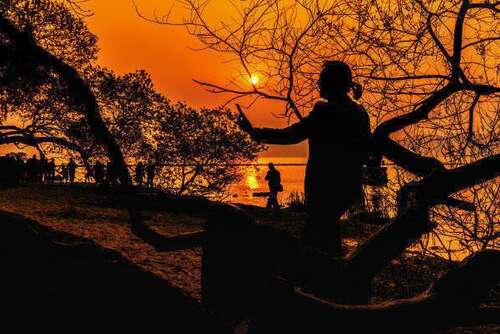 舒适快乐的美丽句子